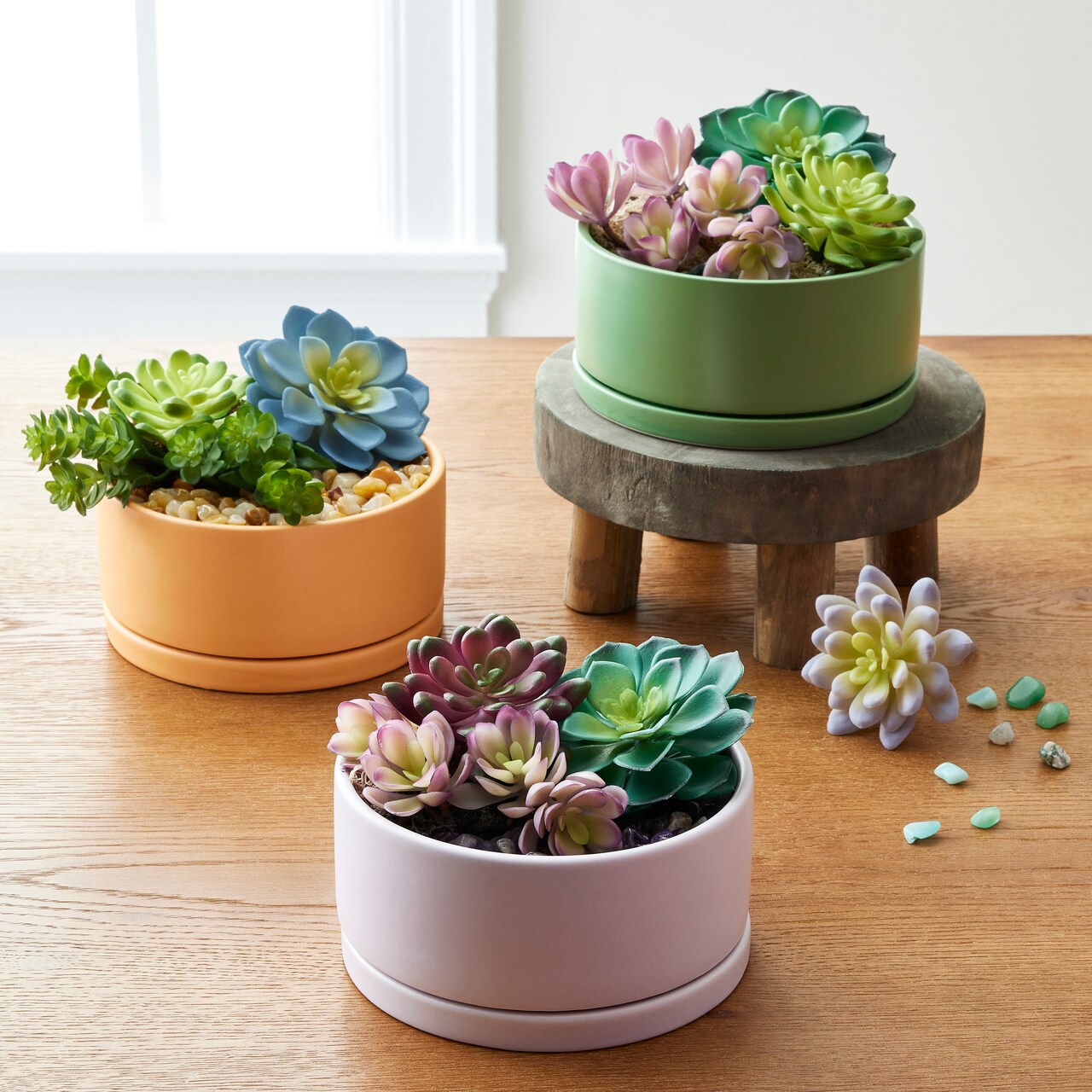 The Perfect Planter with Meghan Fahey